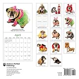 Image de Zelda Wisdom 2016 Wall Calendar