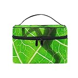 COOSUN Bolsa Rana Sombra cosmética lienzo Viaje Neceser Top Mango de una sola capa de...