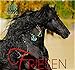 Friese 2018: Friesen Pferde by 