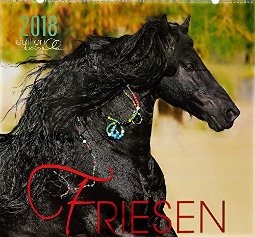 Friese 2018: Friesen Pferde
