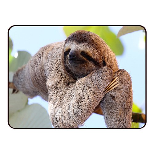 PEDEA Design Mauspad aus Neopren, chilling sloth - 2