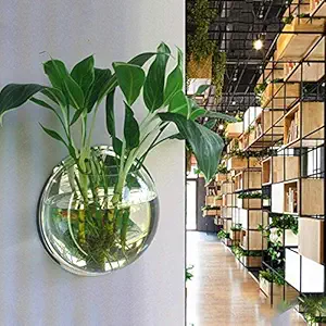 Ubersweet? Imported Hanging Wall Mounted Fish Bowl Goldfish Tanks Acrylic Hanging Aquariums Flowerpot Flower fo and Office Use 150mm Diameter Type 1_165900