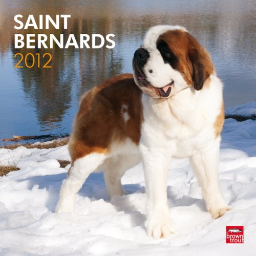 Saint Bernards 2012