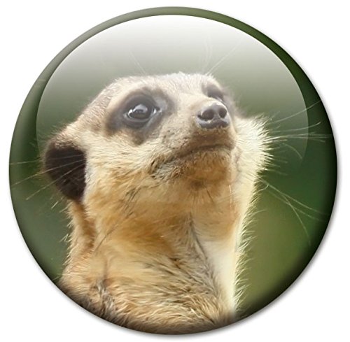 Erdmännchen – Tierische Design Metall Magnettafel 40×30 cm – Pinnwand Memoboard mit Motiv: Erdmännchen – inkl. 4 Magnete mit Motiven von Erdmännchen für Magnetwand – Original Magnetpinnwand GUMA Magneticum - 6