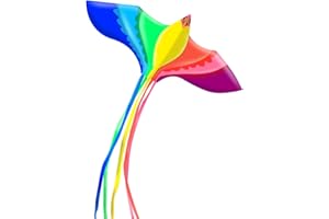 Touch the sky Colorful Phoenix Kite for Kids and Adults, Easy to Fly, Exquisite Fabrics and Unique Structure Design, Excellent Outdoor Games and Activity Toys, Suitable for Beginners.