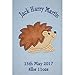 Harry The Hedgehog Luxury Personalised Applique Super Soft Fleece Blanket (Baby Blue)