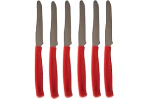 NOBILE LOVELYCARE 6 coltelli da cucina Rosso coltello da tavola lama seghettata acciaio inox coltelli da bistecca pane sempre utili in cucina