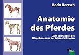 Image de Anatomie des Pferdes: Zum Verständnis des Körperbaues und der Lebensfunktionen
