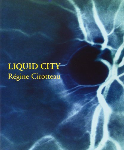 couverture de : Liquid city