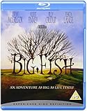 Big Fish [Blu-ray] [2007] [Region Free]