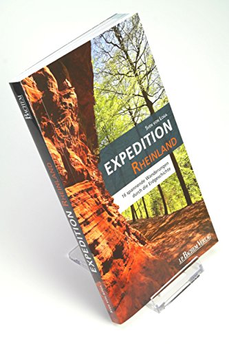 10-Tellerstnder-Schiebestnder-XXL-gro-aus-Plastik-10cm-hoch