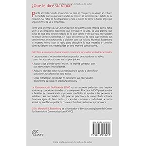 El sorprendente propósito de la rabia: más allá de la gestión de la rabia: descubrir el regalo