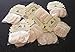Natural Health Loofah Exfoliating pads 100% Natural pack of 3