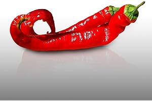 50 graines - POIVRON"Doux très long des Landes" ou"Piment d'Anglet"