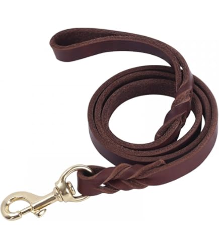 FREUDENTIER Hondenriem van leer, 2 m, leren riem verstelbaar, hondenriem van gecertificeerd vetleer voor kleine, middelgrote en grote honden, alsterufer collectie (chocolade, 16 mm breed