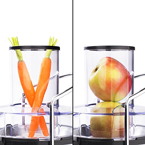 Imagen 4 de Princess 01.203040.01.001