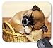 Produktbild Gaming Mouse Pad Netter schlafender Welpe schlief in einem Weidenkorb-Design für Desktop und Laptop 1 Packung 30x25 cm / 11.8x9.8in