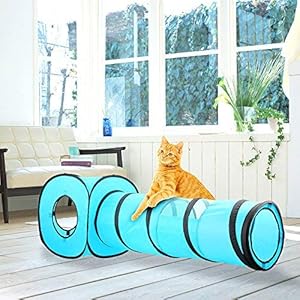 Juguete para Gatos All For Pawise con Forma de túnel y Cubo de Gato Plegable para Interiores y Exteriores