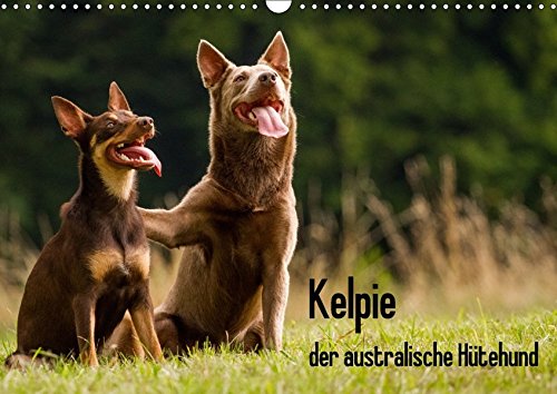 Kelpie - der australische Hütehund (Wandkalender 2018 DIN A3 quer): Der Kalender für Rasseliebhaber. (Monatskalender, 14 Seiten ) (CALVENDO Tiere) [Kalender] [Apr 16, 2017] Brickum, Cornelia