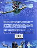 Image de ¡Al agua, bebés!