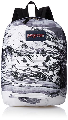 Preisvergleich Produktbild JanSport Superbreak Backpack
