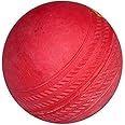 Fly Master Rubber Balls for Cricket (Multicolour) Pack of 10