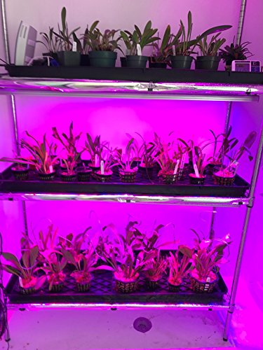 Roleadro ® 54w Led Grow Light Bar für Gewächshaus Pflanze IP65 Waterproof Blue and Red Light 550x30x30mm (1 ,54w) - 7