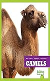  Camels (My First Animal Library) (English Edition)
