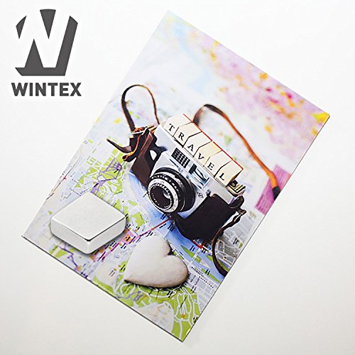 WINTEX 12 Neodym Magnete (10 x 10 x 4 mm) mit sehr starker Haftung für Glas-Magnetboards, Magnettafeln und Kühlschränke | 2 Jahre Zufriedenheitsgarantie | Kühlschrankmagnet - 4