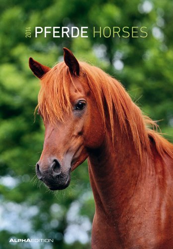 Pferde Bildkalender 2014
