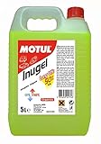 cambiar agua radiador coche . MOTUL Inugel Long-Life 50% G12 amarillo 5L