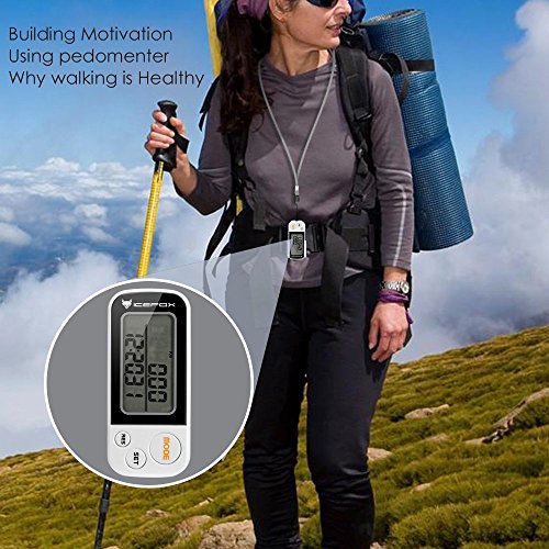 icefox® 3D Schrittzähler, mit Fitness AktivitätenZähler, bis zu 30 Tage speichert,ein akkurater Laufschrittzähler, ein Trainingszeiten- und Kalorienzähler, hält die tägliche Leistungen fest - 7