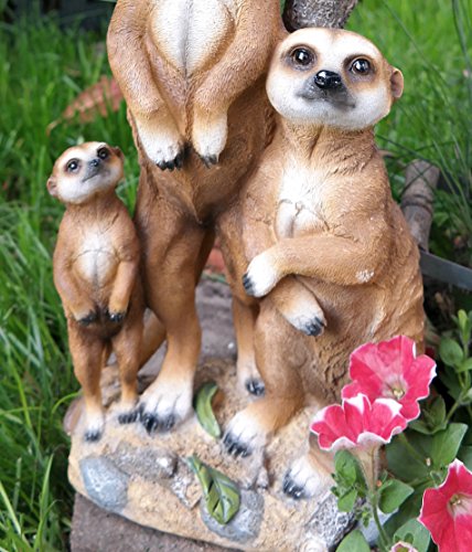 Erdmännchen Familie mit Solarlaterne Figur Gartenfigur 51 cm Garten Erdmännchenfamilie - 5