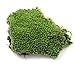 Produktbild Home Party Dekoration Künstlich Grün Gras Moos Pflanze Ornament Miniatur