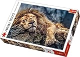  Puzzle 1000 Spiacy lew