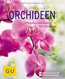 Image de Orchideen: Pflegeleichte Exoten fürs Zuhause