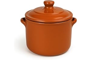 FRANCACOR Olla Cazuela Tartera cacerola barro esmaltado 24 o 28 cms diámetro CON TAPA (28 x 17 cms alta)