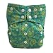 Kernow Kloth Deluxe DOUBLE GUSSET Bamboo CHARCOAL Birth to Potty Pocket Cloth Nappy, Adjustable Popper / Snaps, Without Insert, Washable Reusable Nappies, Baby Diapers - Paisley, Green, Yellow, Retro Swirls