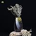 Produktbild Bluelover Zakkz Creative Keramikvase Ornamente Brennofen Änderung Aroma Flasche Anordnung Keramik Dekor Blumengeschenk-#1