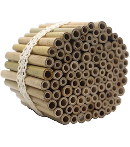Geef Een Knuffel! Dierlijke Knuffels Van 100% Gerecycled Materiaal