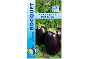 Sachet de graines de Aubergine Black Beauty - 1 g - LES GRAINES BOCQUET