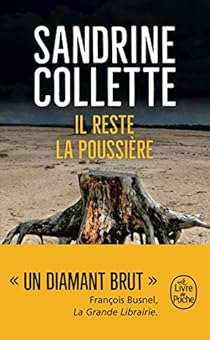 Il reste la poussiÃ¨re par Collette