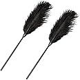 JIHUOO 2 Pcs Feather Cleaning Dusters Soft Feather Tickler Feather Teaser Wands Valentines Day Couple Toys Couples Games for Adults