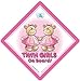 Twin On Board Car Sign, Twin Girls on Board Sign, Pink Bears, Twins On Board, Baby on Board Sign, Twins on Board Sign, baby on board, Twins, Baby Sign, Bumper Sticker, Car Sign, Decal, Grandchild