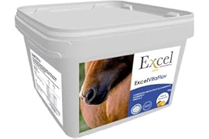 Excel Supplements Europe Excel VitaFlav 1 kg | Supplément Cheval | Supplément respiratoire | Améliore la Respiration équine | Soins de Cheval | Augmente la Performance des Chevaux