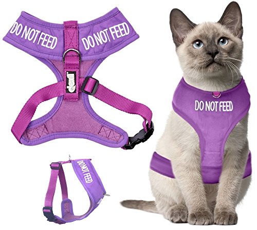 Dexil Colour Coded Cat Harness Warning Alert Vest Padded Water