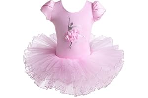 HUAANIUE Filles Enfants Robe Tutu sans Manches Enfants Filles Ballet Sweat-Shirt avec Jupe Tulle 3-7 Ans