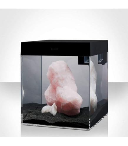 Acquario Askoll Pure LED - Bianco, Misure 36x36x44.5 Cm, Con Timer E Dimmer Integrati