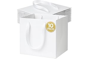 CIRCUIT GREEN 10-Pack Luxury White Square Gift Bags – 25×25×25 cm, 250gsm Kraft Paper, Reinforced Base, Ribbon Handles – Premium Shopping & Party Bags