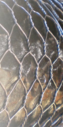 25 Meter Sechseckgeflecht Hühnerzaun Maschenweite 13 mm Höhe 150 cm Drahtstärke 0.7 mm verzinkt - 2